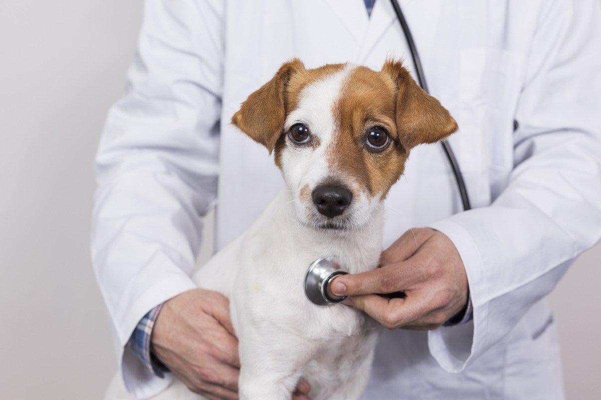 General Health Checkups